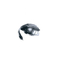 Best Price Car Accessories Fender OEM 68083029ah Dg-Charger 2011-2014 Fr. Inner Fender (LH)