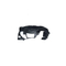 Auto Body Parts Fender Ty-Camry/2018- (SE/XSE) Fr. Inner Fender (RH) OEM 53875-06330