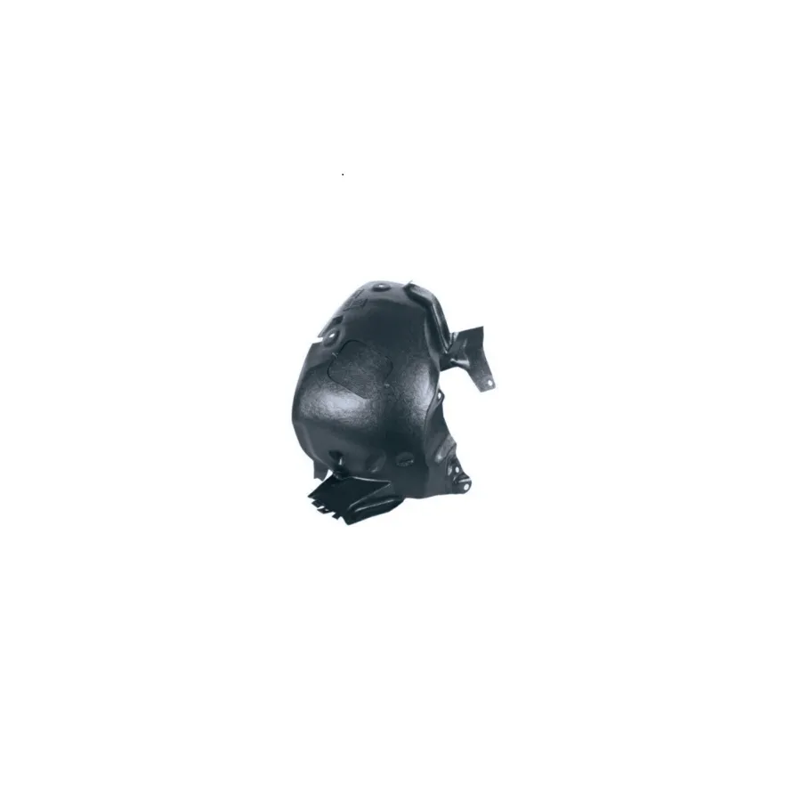 OEM 8200426495 Auto Body Parts Fender Rn-Kangoo/2007-2012 Fr. Inner Fender (RH)